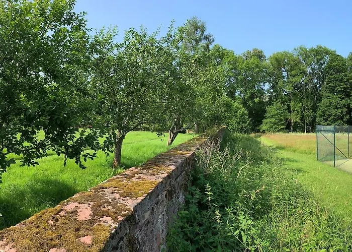 Luxus Wohnung Im Schloss 85 M²
