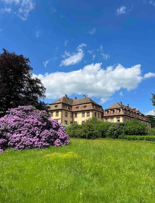 Luxus Im Schloss 85 M² Apartment *